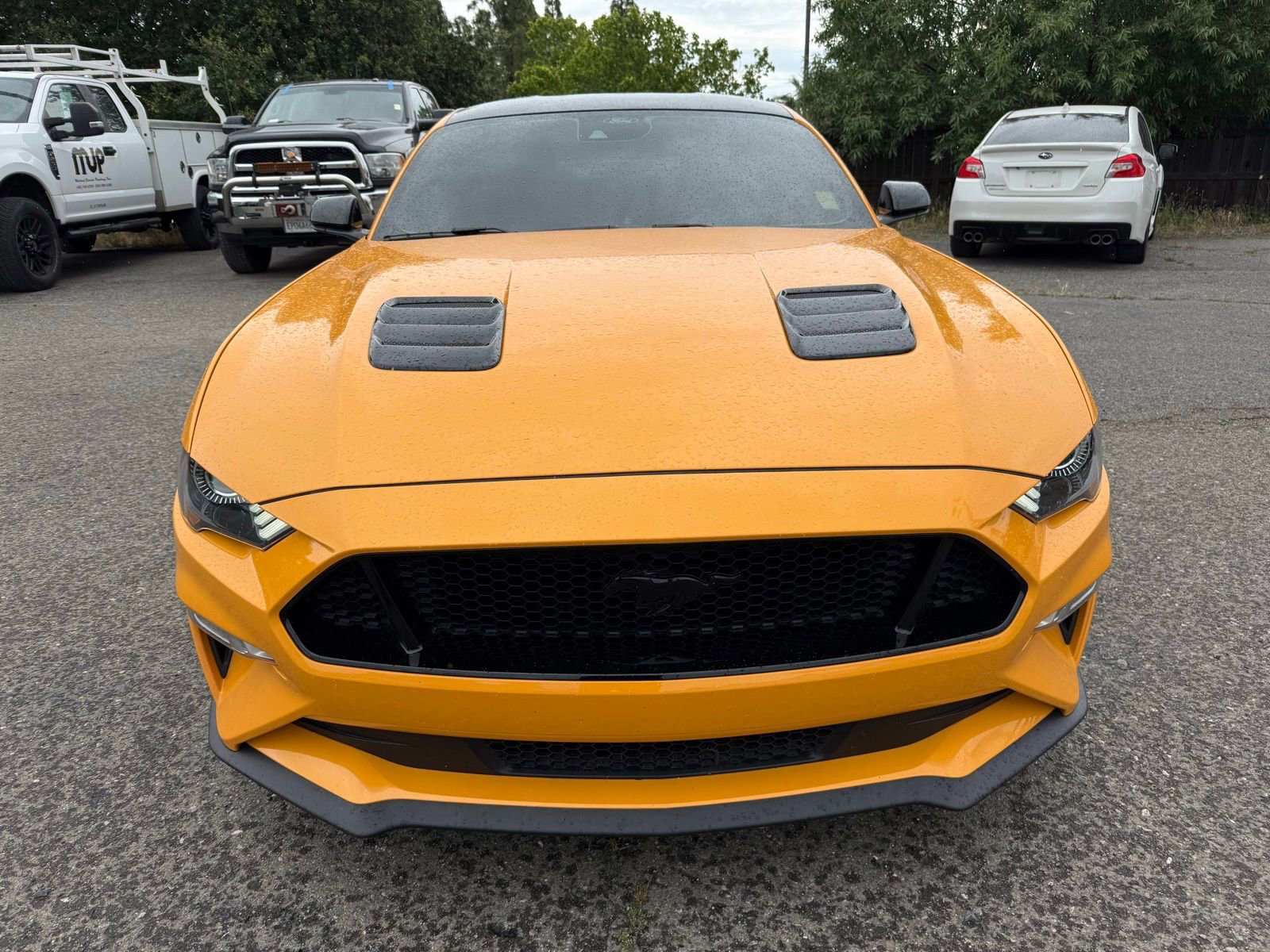 Certified 2022 Ford Mustang GT Premium w/ Black Accent Package RWD image 9
