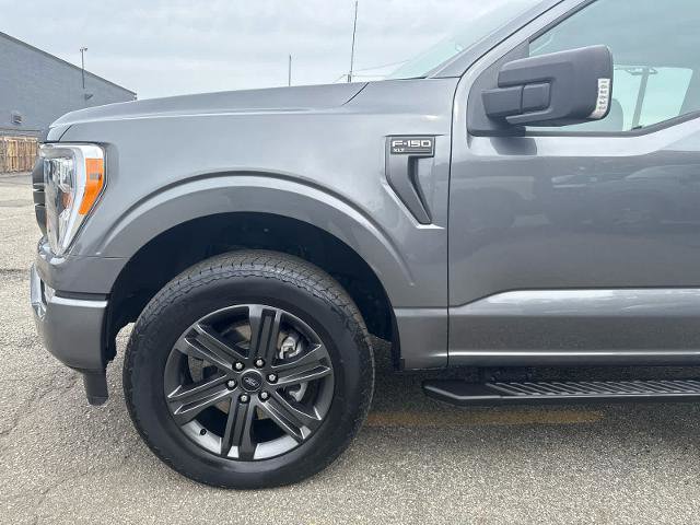 Certified 2023 Ford F150 XLT w/ Equipment Group 302A High AWD/4WD image 12