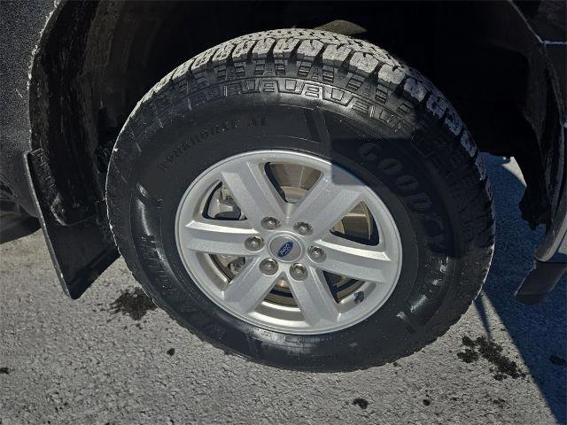 Certified 2023 Ford F150 XL w/ XL Chrome Appearance Package image 10