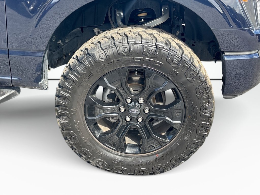 Certified 2023 Ford F150 XL w/ STX Black Appearance Package AWD/4WD image 12