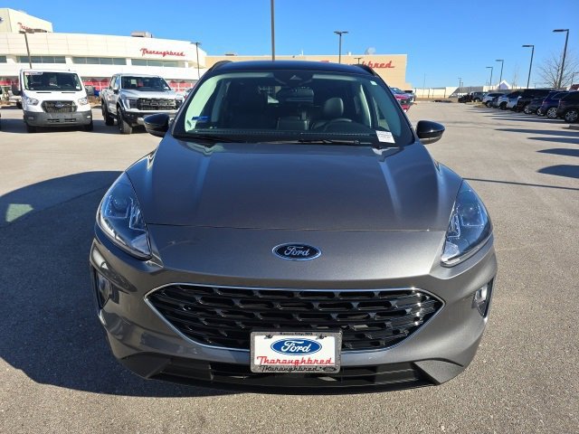 Certified 2022 Ford Escape SEL w/ SEL Stealth AWD Package image 8