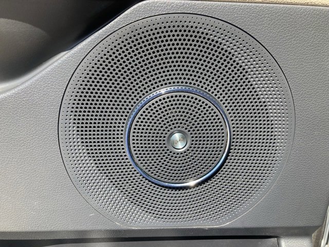 Certified 2024 Ford Expedition Max Limited image 15