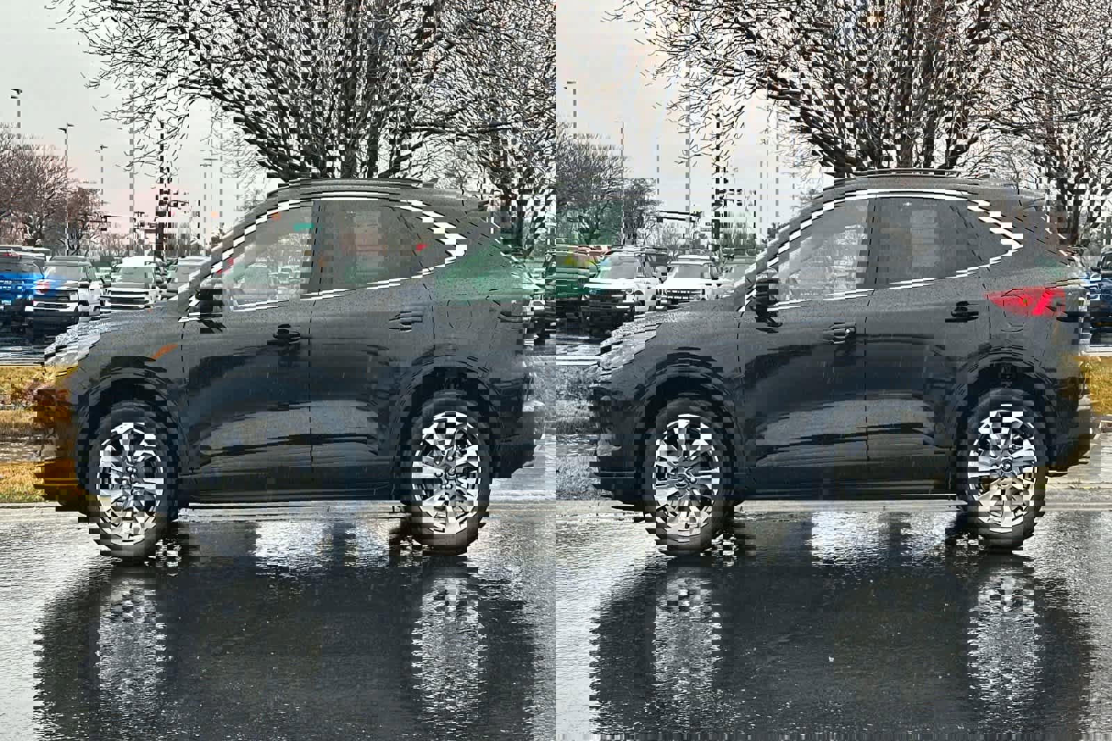 Certified 2025 Ford Escape Platinum image 2