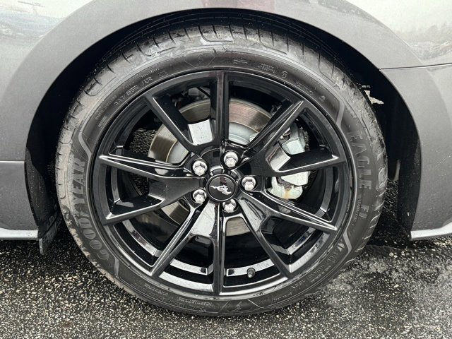 Certified 2017 Ford Mustang GT Premium w/ Black Accent Package image 47