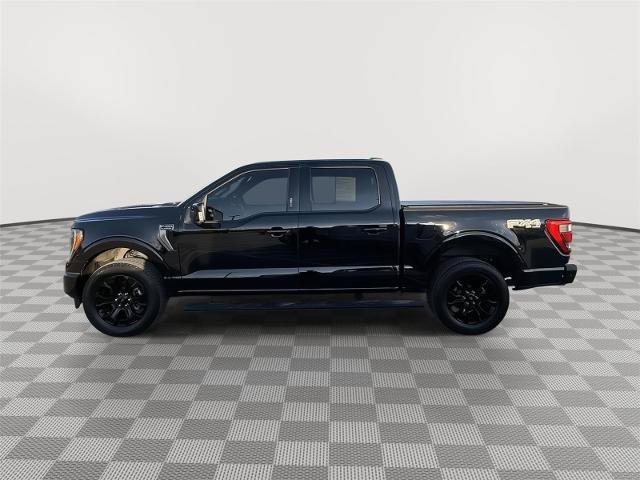 Certified 2023 Ford F150 Platinum w/ Equipment Group 701A High AWD/4WD image 14