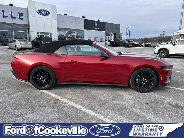 Certified 2024 Ford Mustang Premium image 3