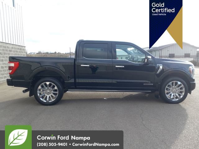 Certified 2023 Ford F150 Limited image 6