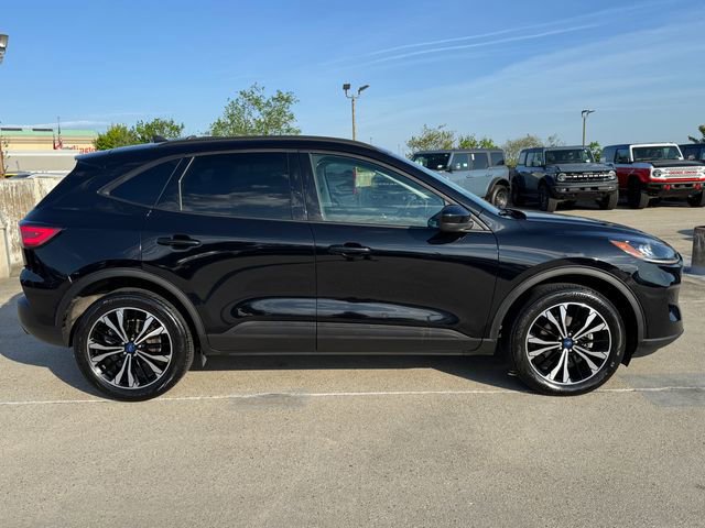 Certified 2022 Ford Escape SEL w/ SEL Stealth AWD Package image 6