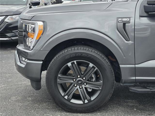 Certified 2023 Ford F150 XLT w/ Equipment Group 302A High RWD image 9