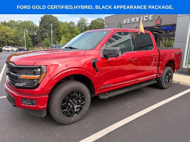 Certified 2024 Ford F150 XLT w/ Equipment Group 302A MID AWD/4WD image 13