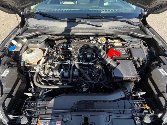 Certified 2021 Ford Escape Titanium w/ Titanium Elite Package AWD/4WD image 37