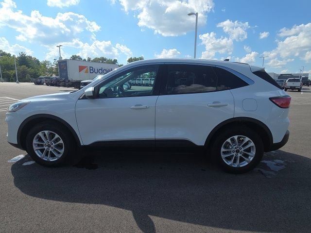 Certified 2020 Ford Escape SE AWD/4WD image 14