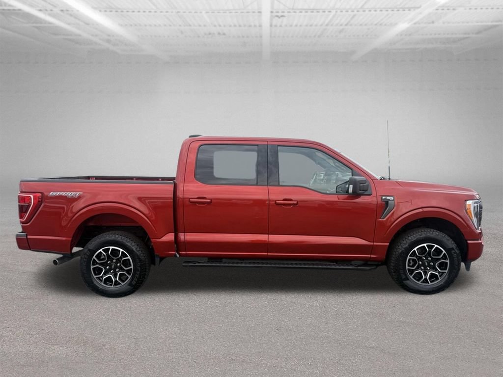 Certified 2023 Ford F150 XLT w/ Equipment Group 302A High AWD/4WD image 3