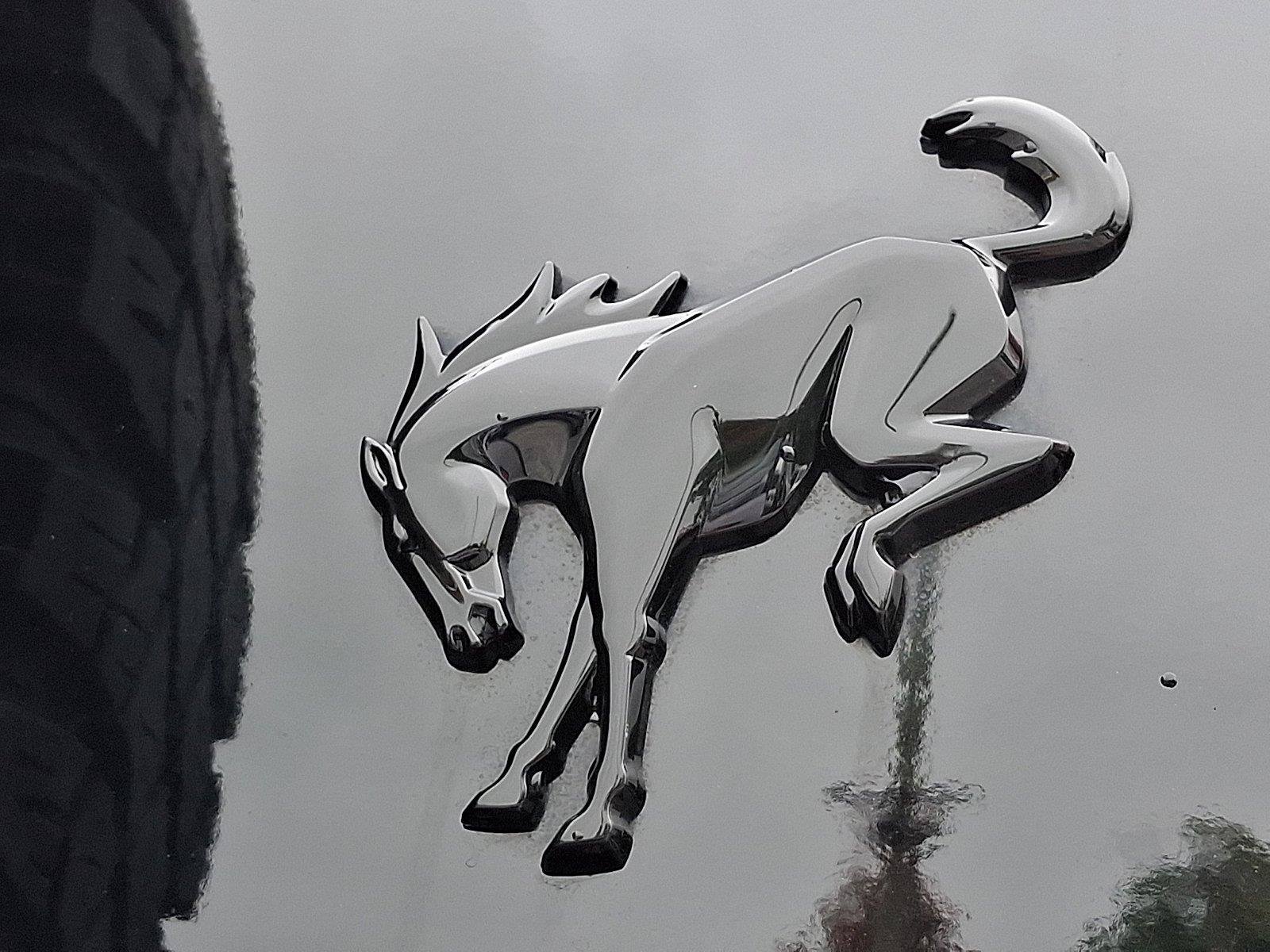 Certified 2024 Ford Bronco Wildtrak AWD/4WD image 30