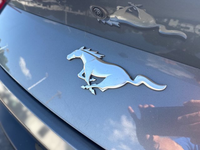Certified 2024 Ford Mustang Premium RWD image 16