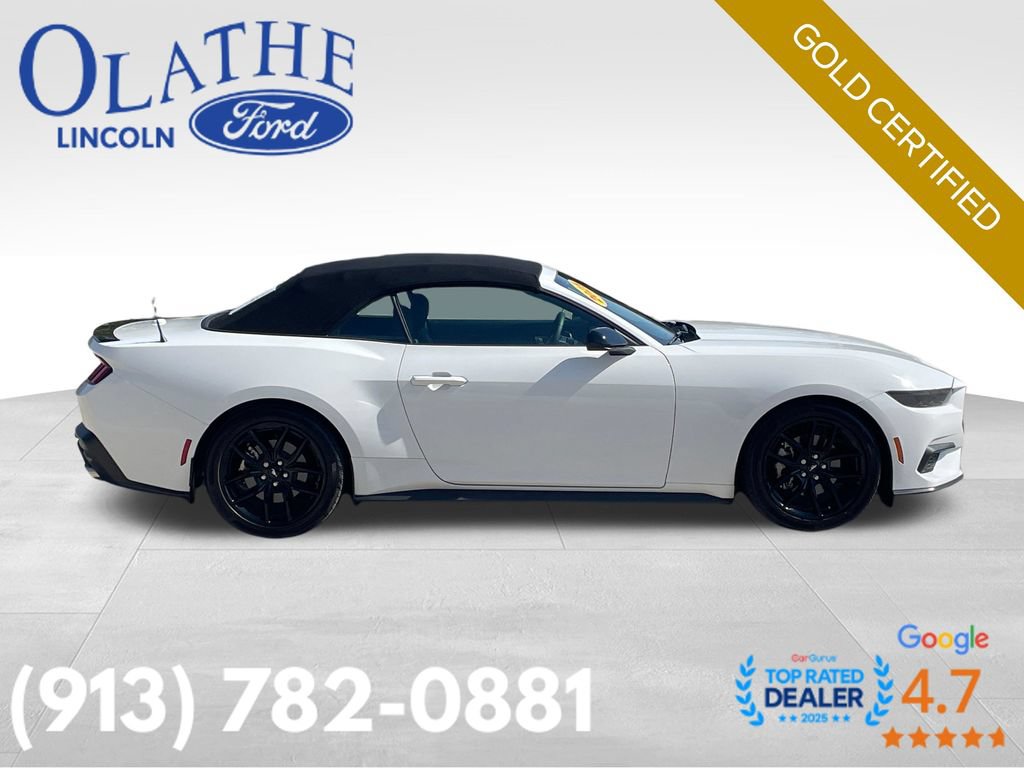 Certified 2025 Ford Mustang Convertible w/ Mustang Nite Pony Package RWD image 7