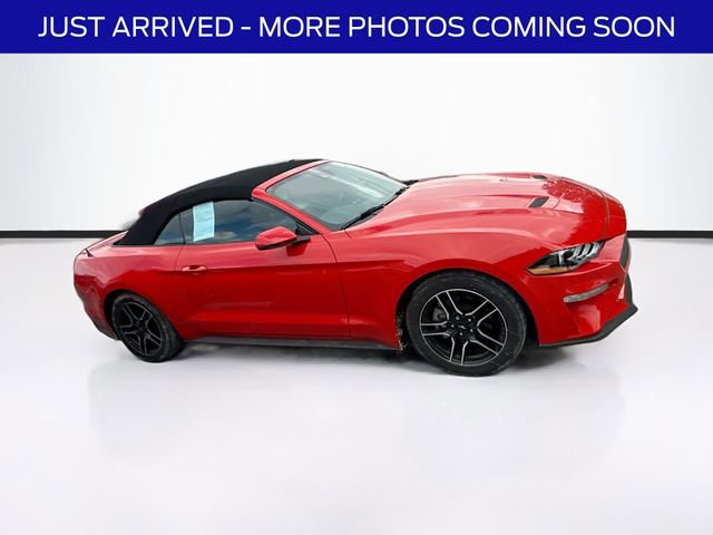 Certified 2023 Ford Mustang Premium w/ Equipment Group 201A image 4