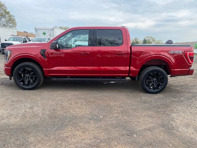 Certified 2022 Ford F150 XLT w/ Equipment Group 302A High AWD/4WD image 4