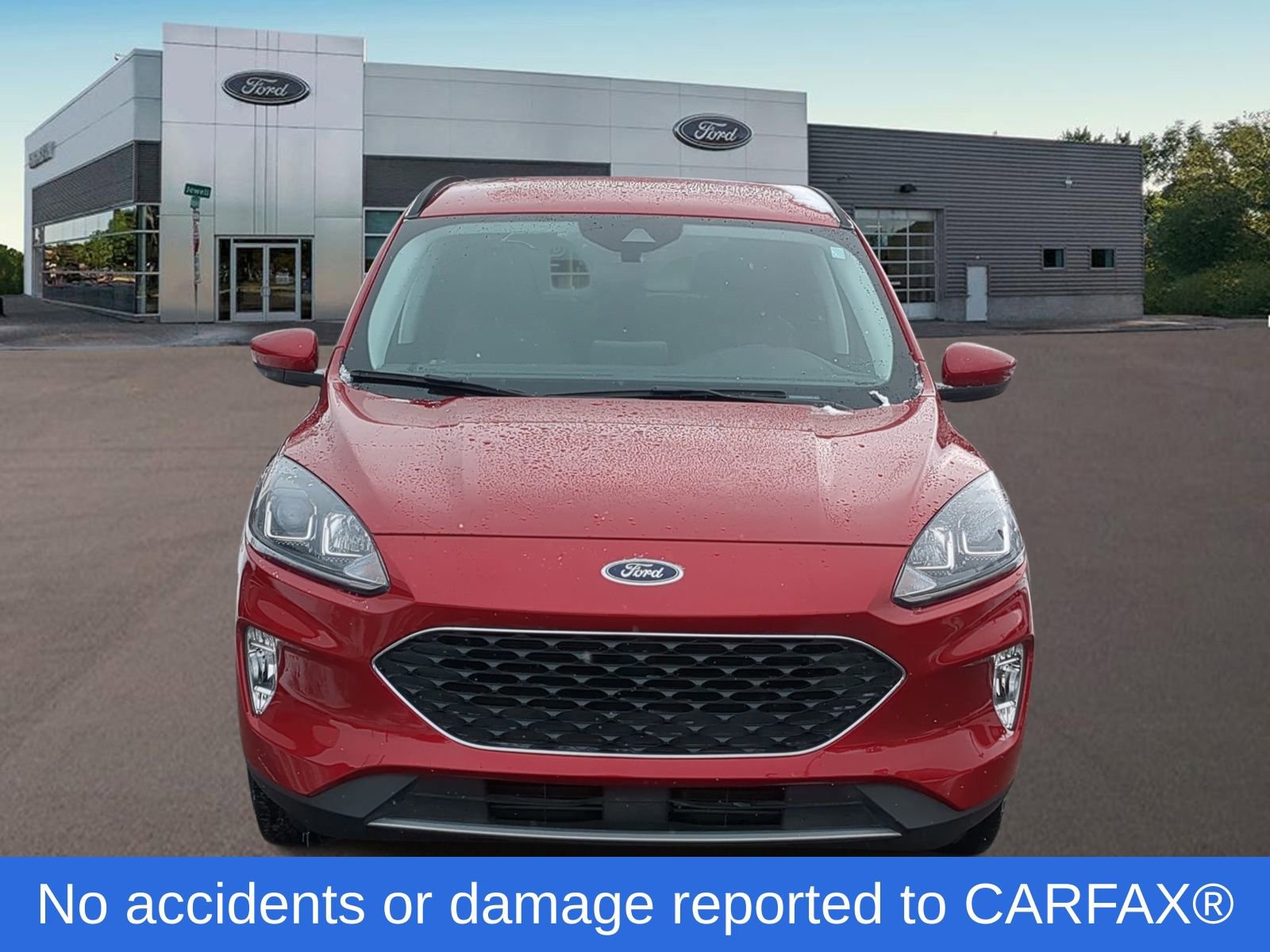 Certified 2022 Ford Escape SEL image 3