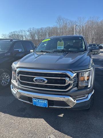 Certified 2023 Ford F150 XLT w/ Equipment Group 302A High image 3