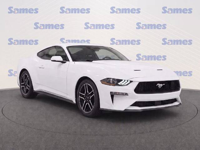 Certified 2019 Ford Mustang Coupe w/ Equipment Group 101A RWD image 1