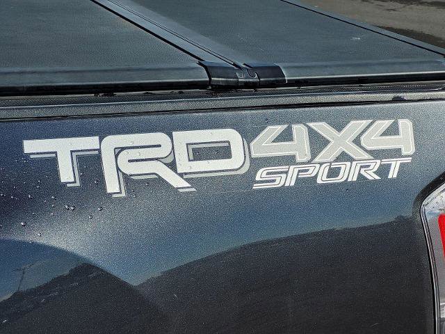 Used 2022 Toyota Tacoma TRD Sport AWD/4WD image 12