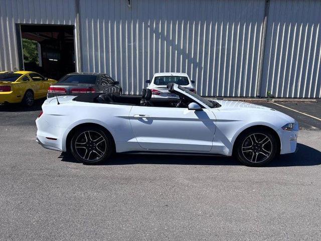 Certified 2023 Ford Mustang Premium image 4