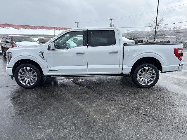 Certified 2023 Ford F150 Limited image 6