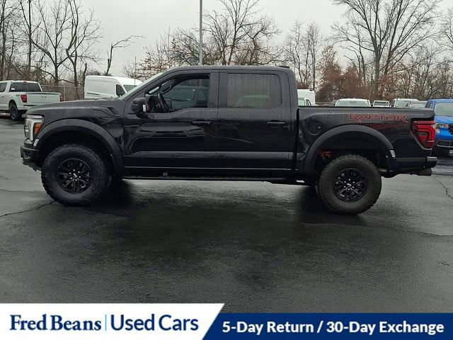Certified 2025 Ford F150 Raptor image 3