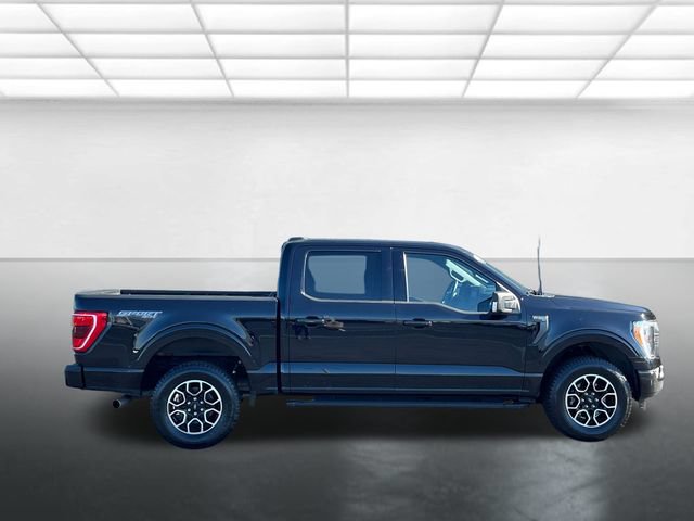 Certified 2023 Ford F150 XLT w/ Equipment Group 302A High AWD/4WD image 3