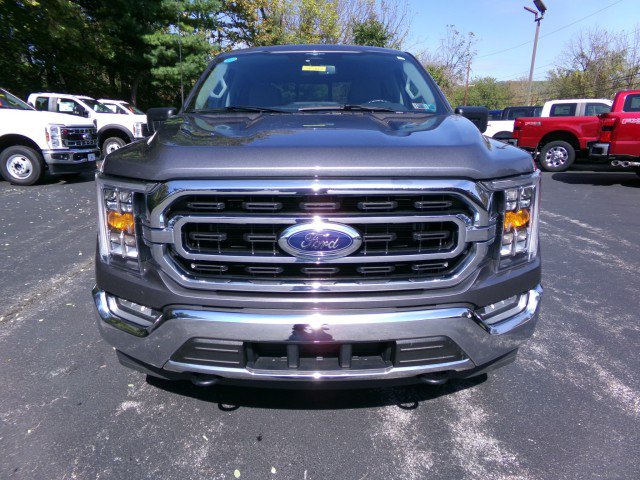 Certified 2023 Ford F150 XLT w/ Equipment Group 302A High AWD/4WD image 3