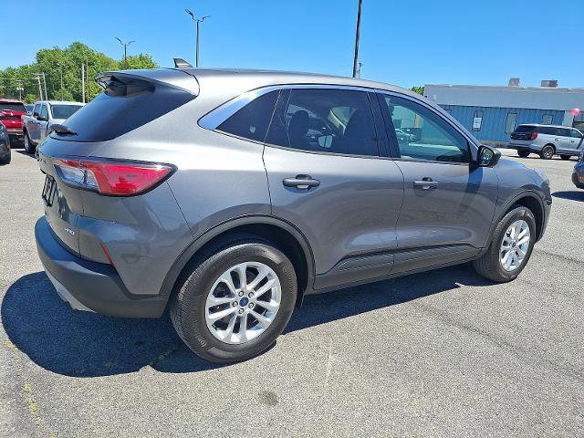 Certified 2022 Ford Escape SE w/ Convenience Package AWD/4WD image 6