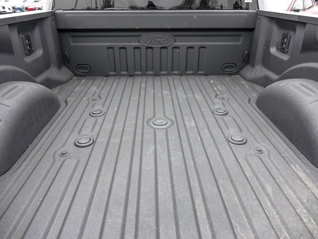 Certified 2025 Ford F250 Platinum image 25