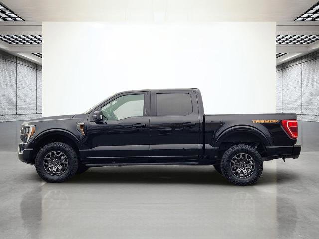 Certified 2022 Ford F150 Tremor w/ Equipment Group 401A Mid image 10