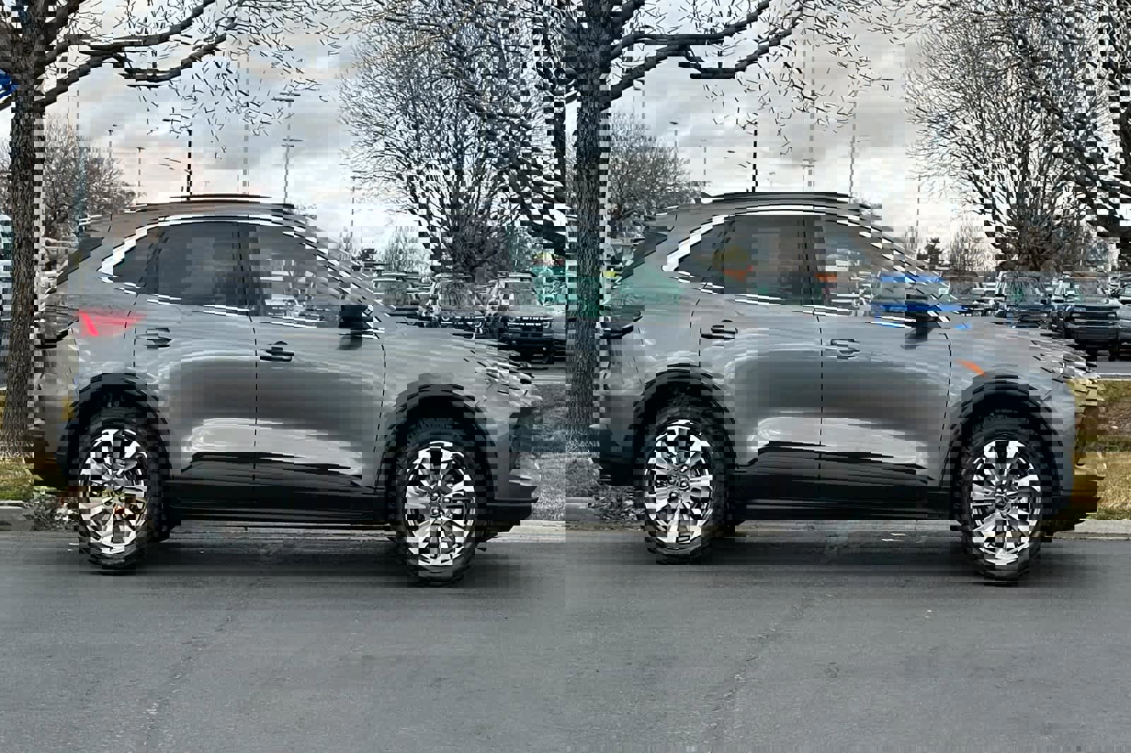 Certified 2025 Ford Escape Platinum image 6