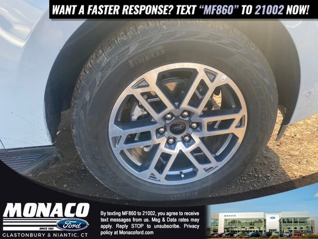 Certified 2025 Ford Expedition Active image 10