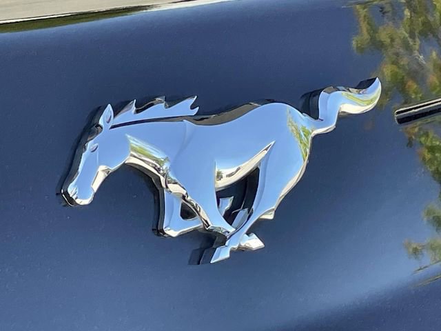 Certified 2022 Ford Mustang Coupe w/ Equipment Group 101A RWD image 11