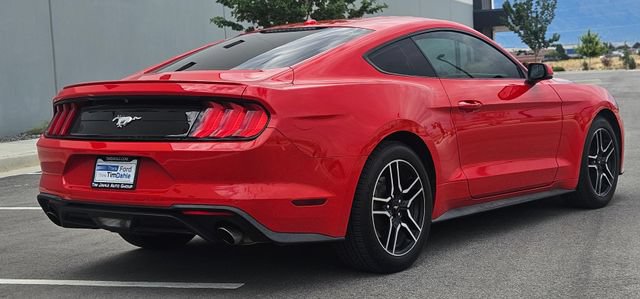 Certified 2019 Ford Mustang Premium RWD image 5