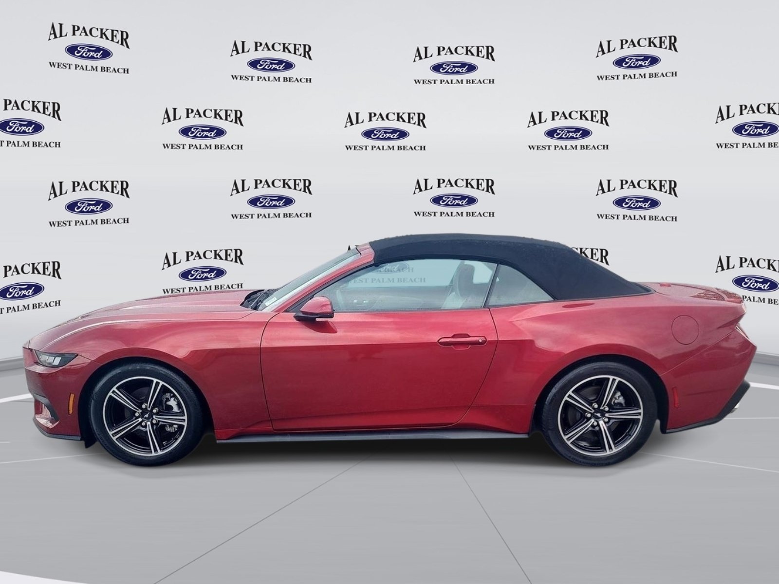 Certified 2024 Ford Mustang Premium RWD image 2