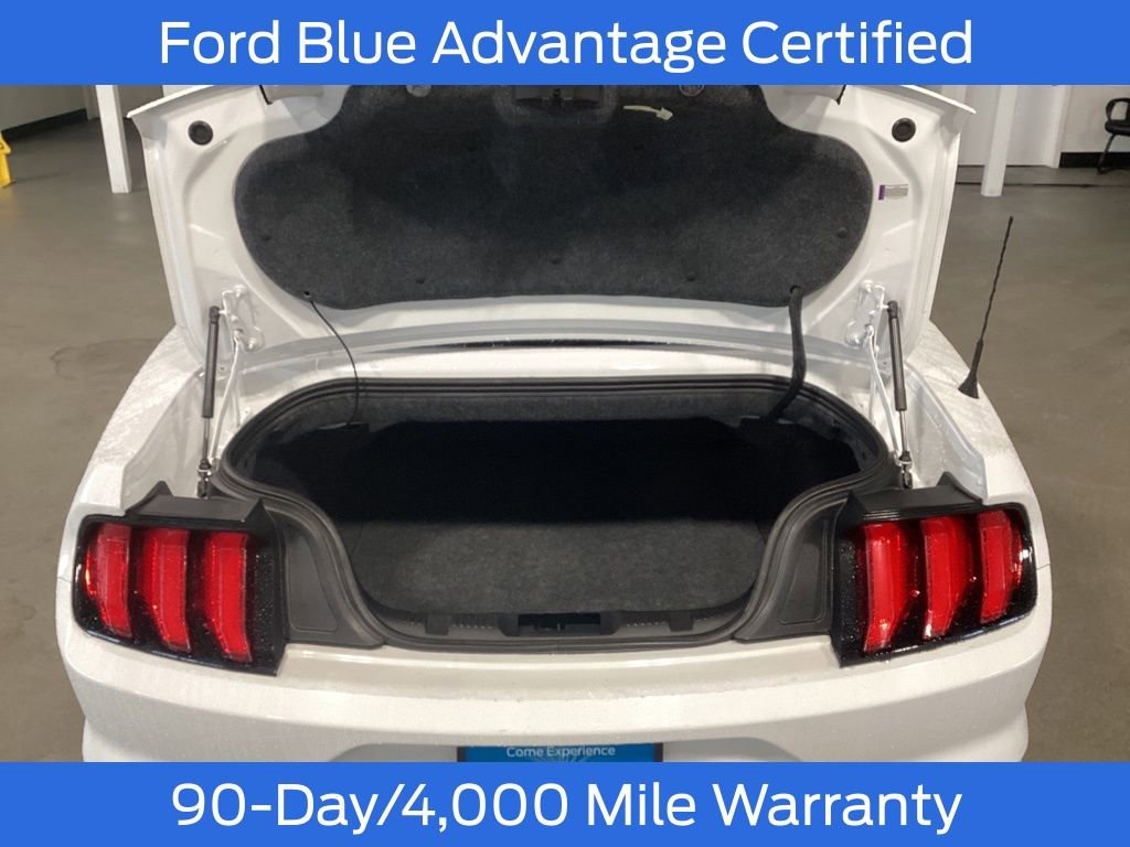 Certified 2019 Ford Mustang GT Premium image 6