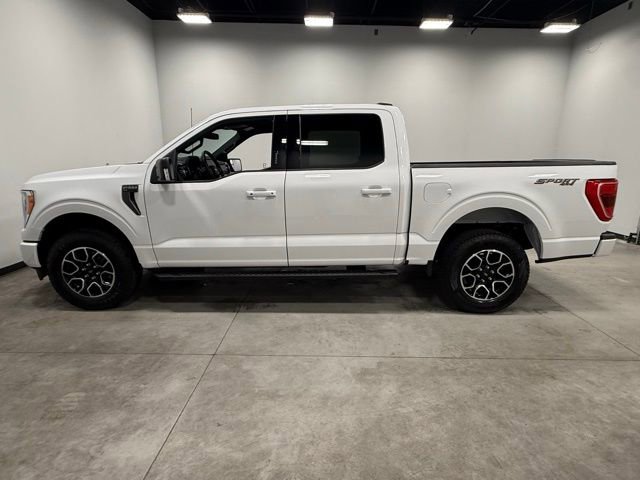 Certified 2023 Ford F150 XLT w/ Equipment Group 302A High image 8