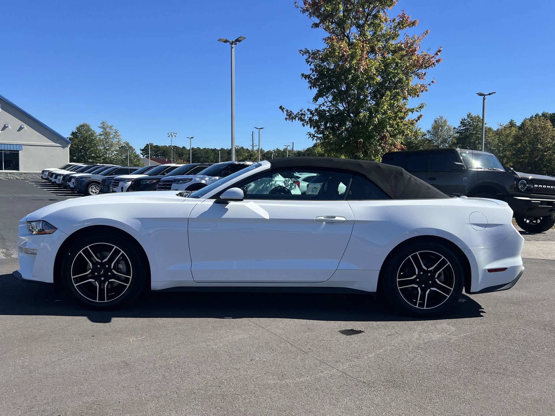 Certified 2023 Ford Mustang Premium image 6