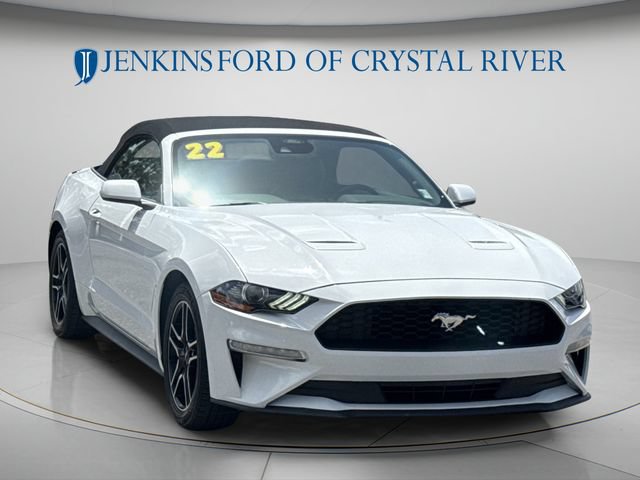 Certified 2022 Ford Mustang Premium RWD image 2