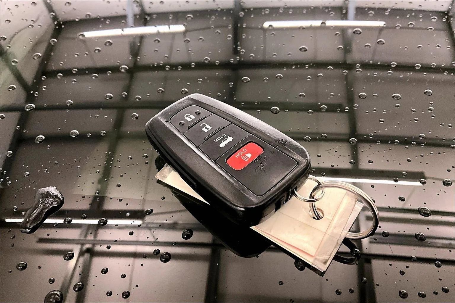 Used 2019 Toyota Camry XLE w/ Navigation Package image 9