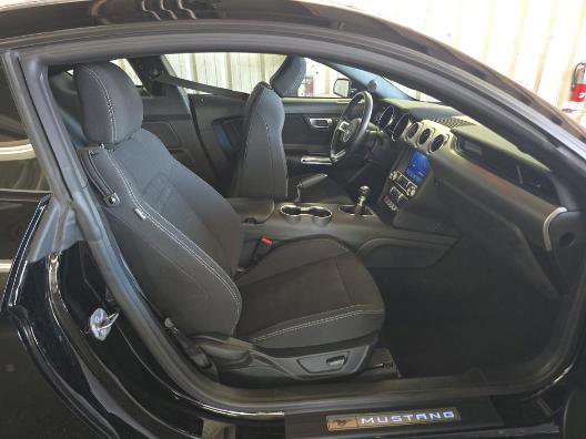 Certified 2022 Ford Mustang GT w/ Equipment Group 301A image 11