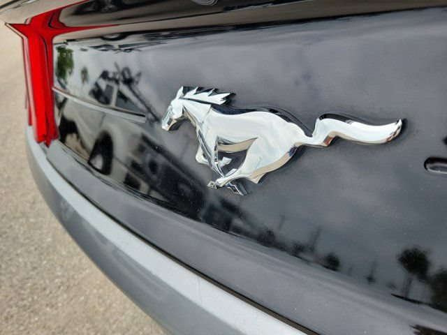 Certified 2021 Ford Mustang Premium RWD image 8
