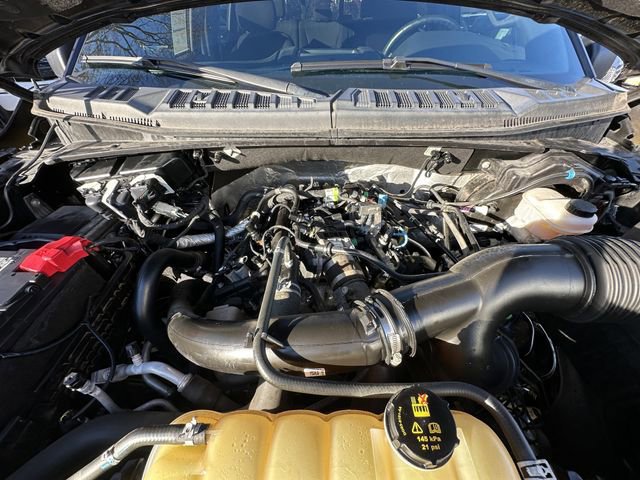 Certified 2019 Ford F150 XLT w/ Equipment Group 302A Luxury image 32