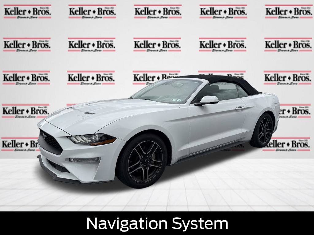 Certified 2019 Ford Mustang Premium w/ Equipment Group 201A RWD image 3