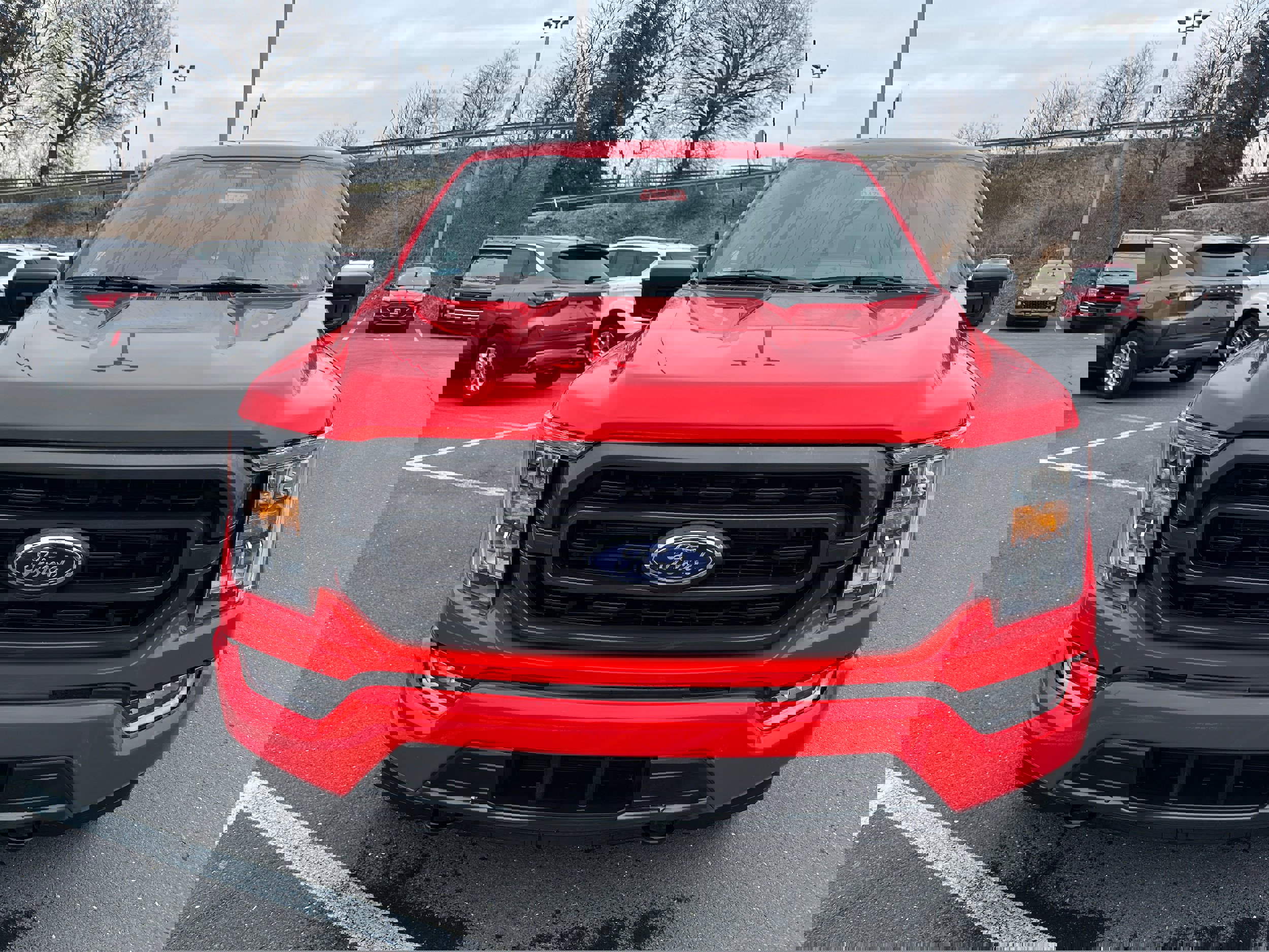 Certified 2023 Ford F150 XLT w/ Equipment Group 302A High image 7