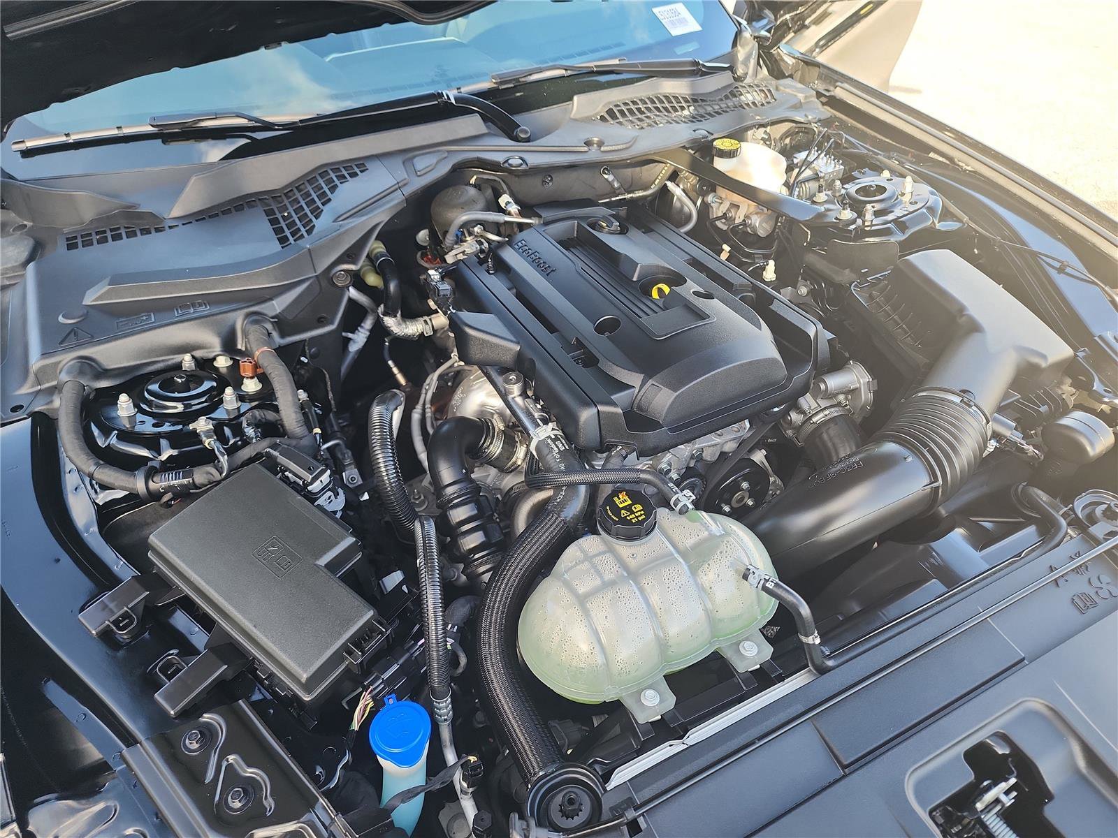 Certified 2020 Ford Mustang Premium image 12